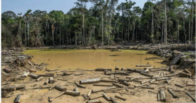 Estado actual de una de las zonas afectadas del Perú en la región de Madre de Dios