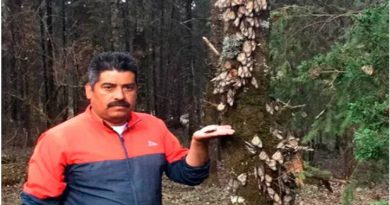 Homero Gómez gran activista a favor de la preservación del hábitat de la mariposa monarca