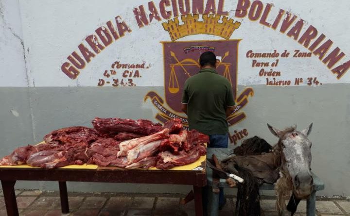 Detenido por vender carne de caballo